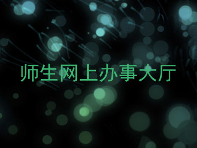 师生网上办事大厅