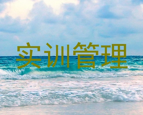 实训管理