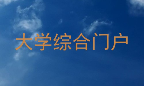 大学综合门户