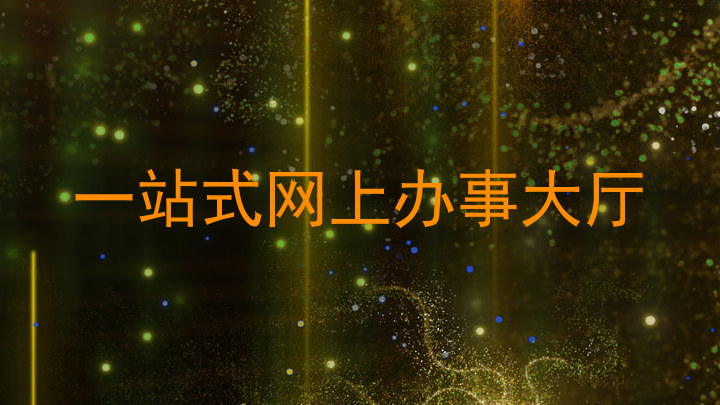 一站式网上办事大厅