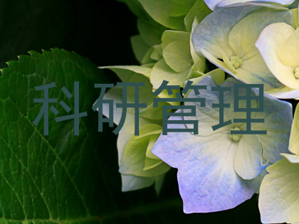 科研管理