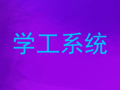 学工系统