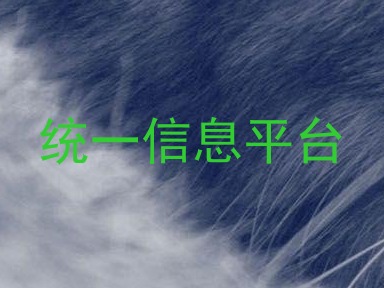 统一信息平台