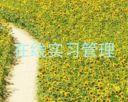 在线实习管理
