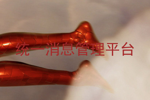 统一消息管理平台