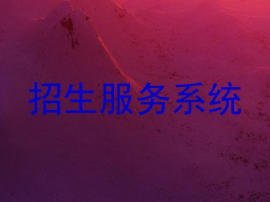 招生服务系统