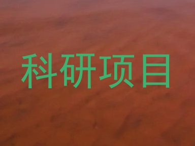 科研项目