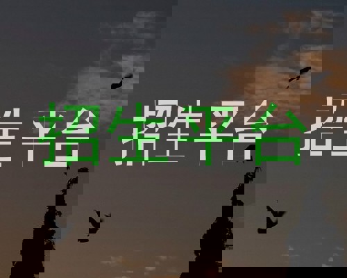 招生平台