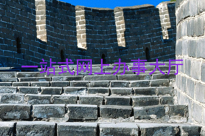 一站式网上办事大厅