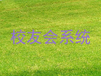 校友会系统