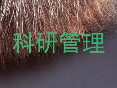 科研管理