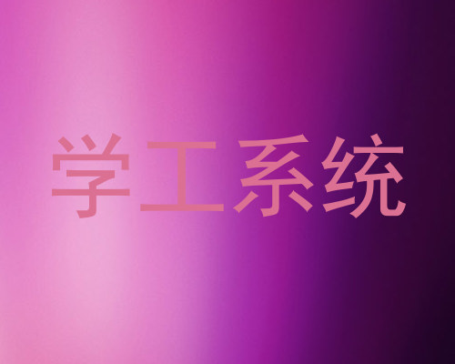 学工系统
