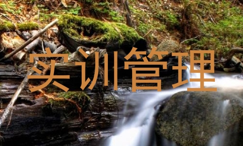 实训管理