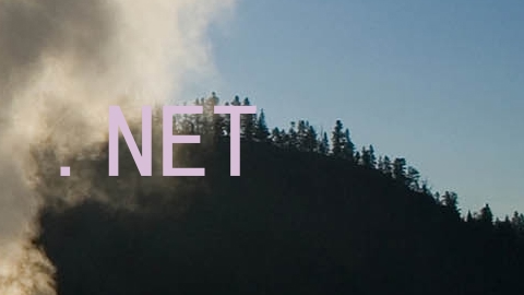 .NET