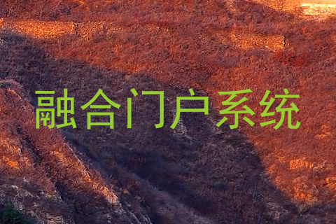 融合门户系统