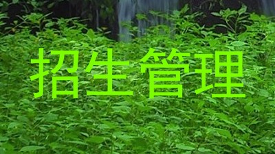 招生管理