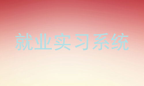 就业实习系统