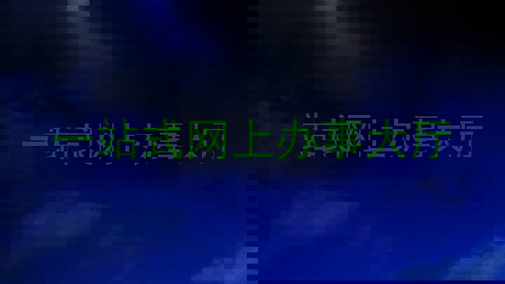 一站式网上办事大厅