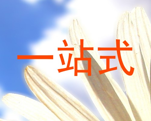 一站式