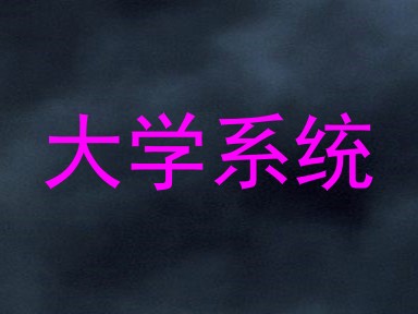 大学系统