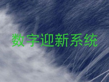 数字迎新系统