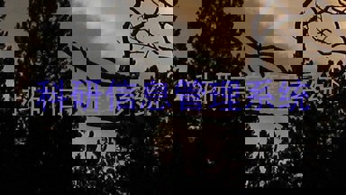 科研信息管理系统