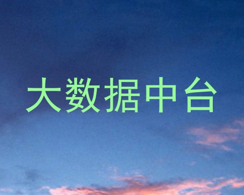 大数据中台