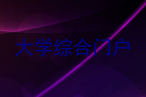 大学综合门户