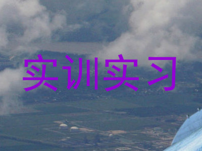 实训实习