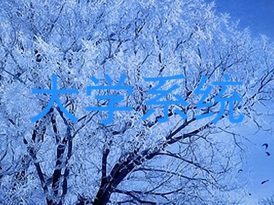 大学系统