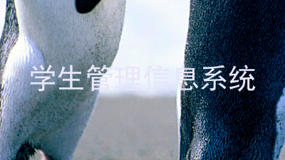 学生管理信息系统
