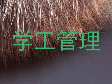 学工管理