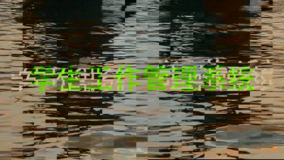 学生工作管理系统