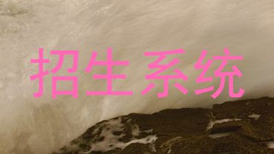 招生系统