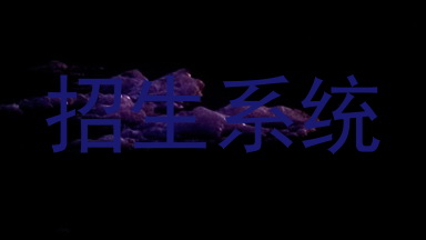 招生系统