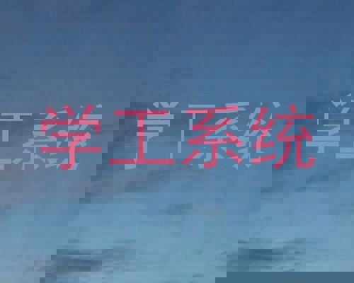 学工系统