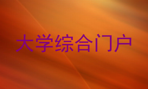 大学综合门户