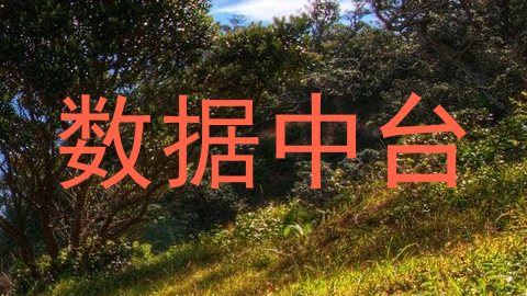 数据中台