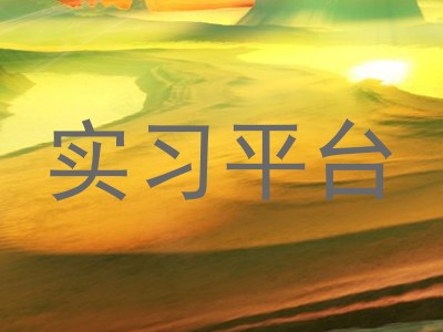 实习平台