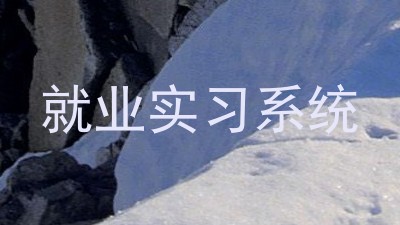 就业实习系统