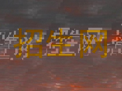 招生网