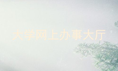 大学网上办事大厅