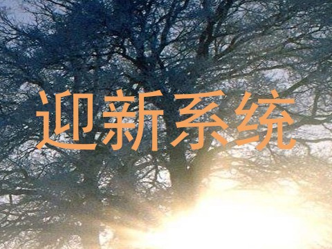 迎新系统