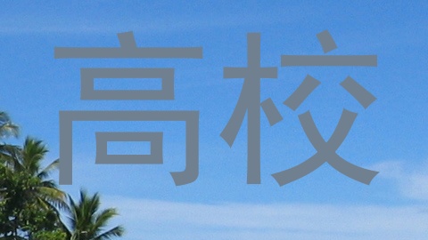 高校