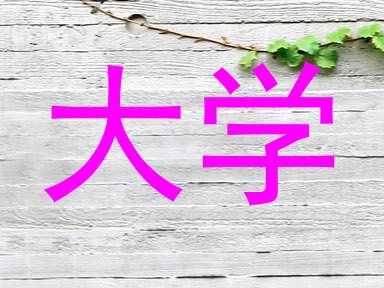 大学