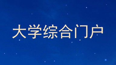 大学综合门户