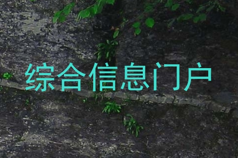 综合信息门户