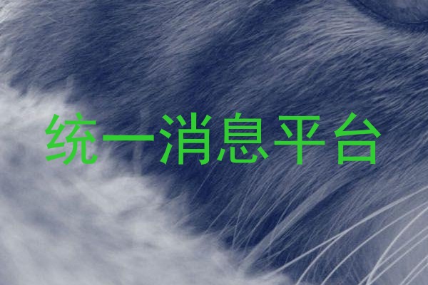 统一消息平台