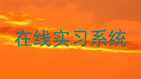 在线实习系统