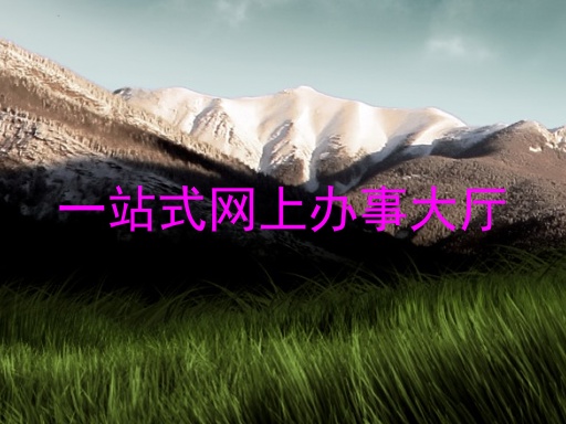 一站式网上办事大厅